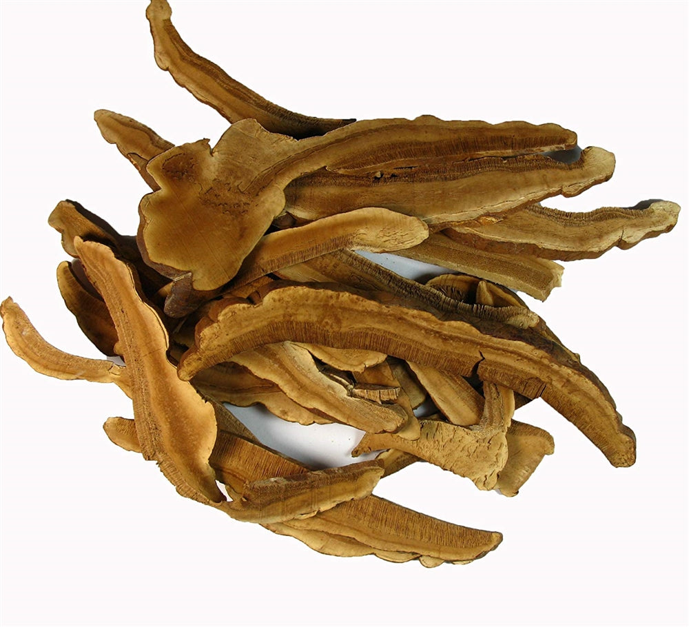 Ganoderma lucidum Loose Slices